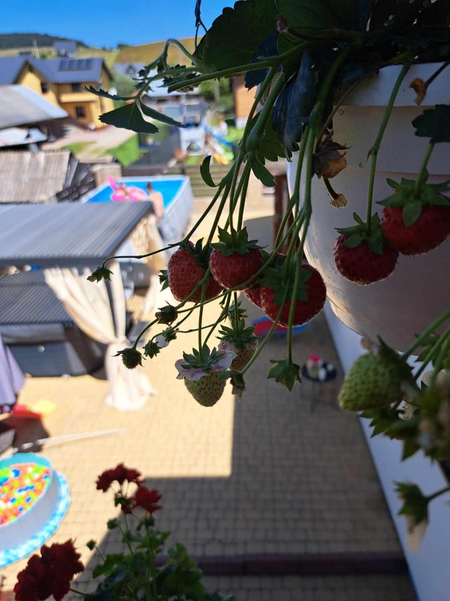 Apartamenty Maja Tylicz Esterno foto