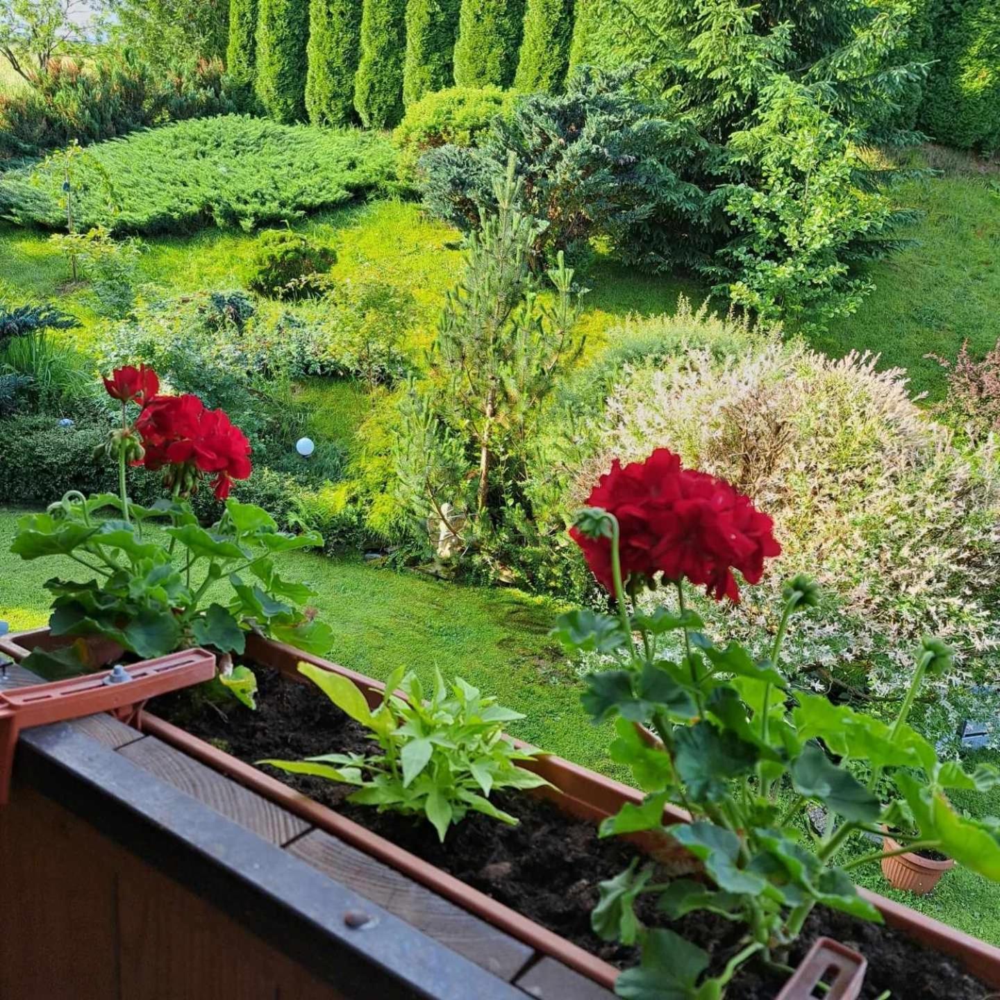 Apartamenty Maja Tylicz Esterno foto