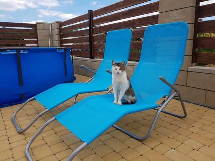 Apartamenty Maja Tylicz Esterno foto